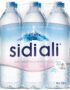 sidi ali 1.5 L