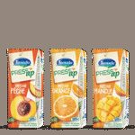 Press'up nectar de jus de fruits riche en pulpes et en vitamine C